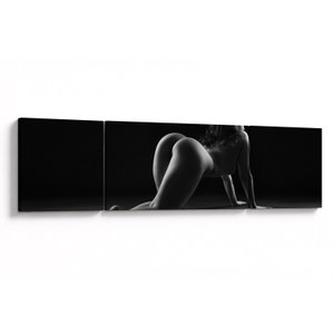 Schilderij - Naakt van ee strekkende vrouw (V023081V17050)