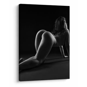 Schilderij - Naakt van ee strekkende vrouw (V023081V5070)