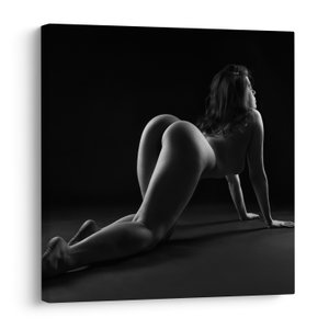 Schilderij - Naakt van ee strekkende vrouw (V023081V7070)