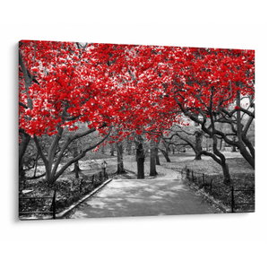 Schilderij - Rode bomen, Central Park, New York (V023117V10070)