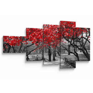 Schilderij - Rode bomen, Central Park, New York (V023117V11060)
