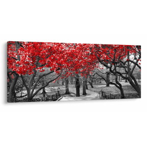 Schilderij - Rode bomen, Central Park, New York (V023117V12050)