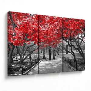 Schilderij - Rode bomen, Central Park, New York (V023117V120803PCS)