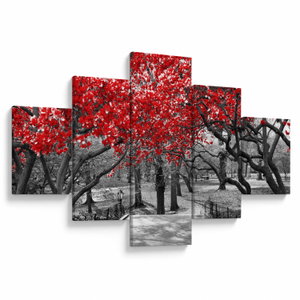Schilderij - Rode bomen, Central Park, New York (V023117V12570)