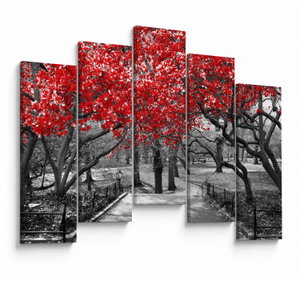 Schilderij - Rode bomen, Central Park, New York (V023117V12590)