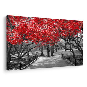 Schilderij - Rode bomen, Central Park, New York (V023117V150100)