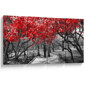 Schilderij - Rode bomen, Central Park, New York (V023117V16080)