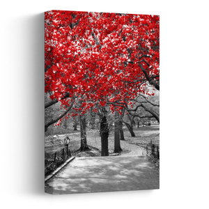 Schilderij - Rode bomen, Central Park, New York (V023117V2030)