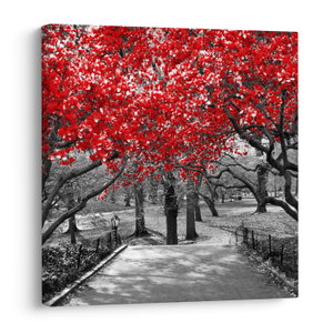 Schilderij - Rode bomen, Central Park, New York (V023117V3030)