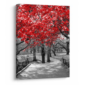 Schilderij - Rode bomen, Central Park, New York (V023117V3040)
