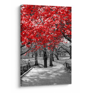 Schilderij - Rode bomen, Central Park, New York (V023117V6090)