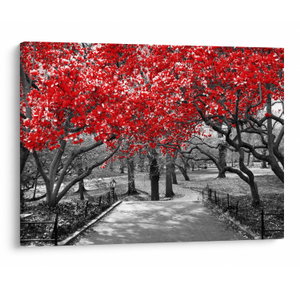 Schilderij - Rode bomen, Central Park, New York (V023117V7050)