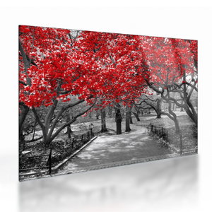 Glasschilderij - Rode bomen, Central Park, New York (V023117V7050GD)