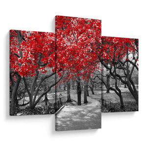 Schilderij - Rode bomen, Central Park, New York (V023117V90603PCS)