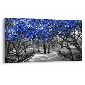 Obrázok - Modré stromy, Central Park, New York