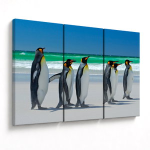 Tablou - Grup de pinguini regali (V023203V120803PCS)