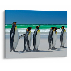 Tablou - Grup de pinguini regali (V023203V7050)