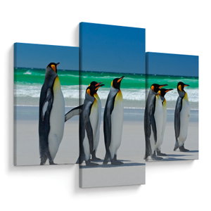 Tablou - Grup de pinguini regali (V023203V90603PCS)