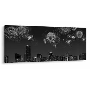 Schilderij - Vuurwerk in Miami, zwart-wit (V023271V12050)