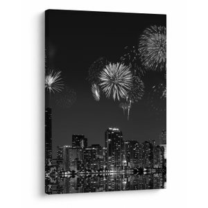 Schilderij - Vuurwerk in Miami, zwart-wit (V023271V5070)