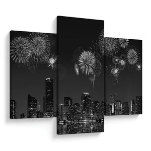 Schilderij - Vuurwerk in Miami, zwart-wit (V023271V90603PCS)