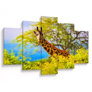 Schilderij - Giraffen in Afrika