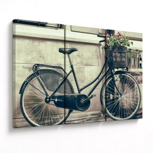 Obraz - Vintage kolo s květinami (V023413V120803PCS)