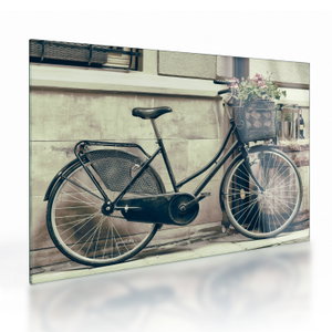 Skleněný obraz - Vintage kolo s květinami (V023413V7050GD)