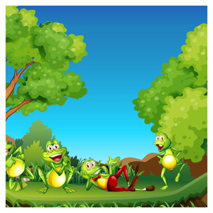 Kép - Boldog békák (6)