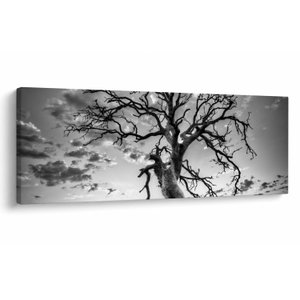 Schilderij - Zwart-witte boom (V023559V10040)