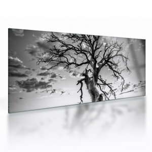 Glasschilderij - Zwart-witte boom (V023559V10050GD)