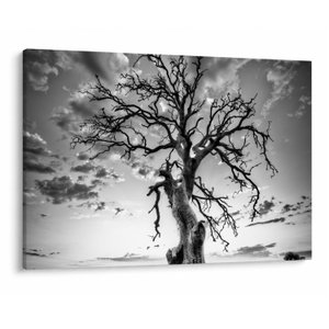 Schilderij - Zwart-witte boom (V023559V10070)