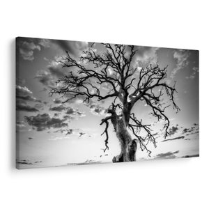 Schilderij - Zwart-witte boom (V023559V12080)