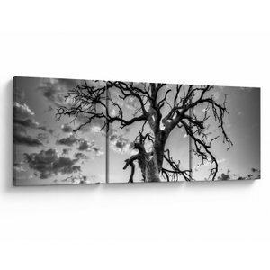 Schilderij - Zwart-witte boom (V023559V15050)