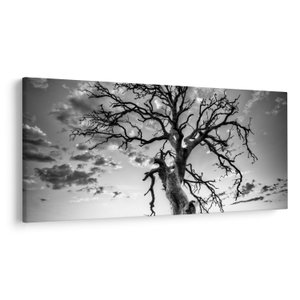 Schilderij - Zwart-witte boom (V023559V200100)