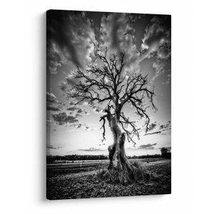 Schilderij - Zwart-witte boom (V023559V5070)