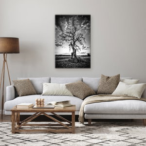 Schilderij - Zwart-witte boom (2)