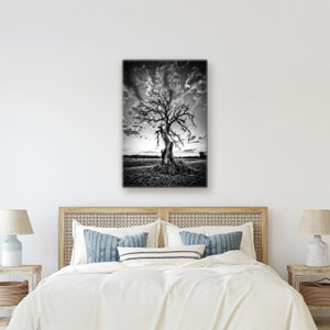 Schilderij - Zwart-witte boom (4)