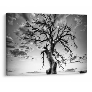 Schilderij - Zwart-witte boom (V023559V7050)