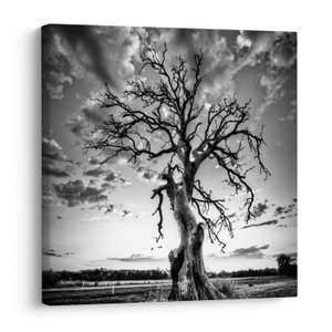 Schilderij - Zwart-witte boom (V023559V7070)