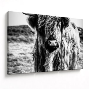 Schilderij - Schotse hooglander (V023574V120803PCS)