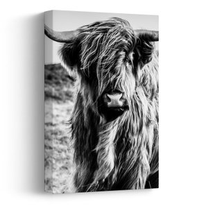 Schilderij - Schotse hooglander (V023574V2030)