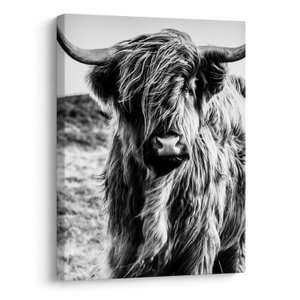 Schilderij - Schotse hooglander (V023574V3040)