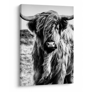 Schilderij - Schotse hooglander (V023574V5070)