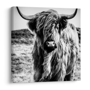 Schilderij - Schotse hooglander