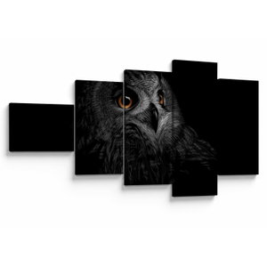 Obraz - Sova, ilustrace (V023618V11060)