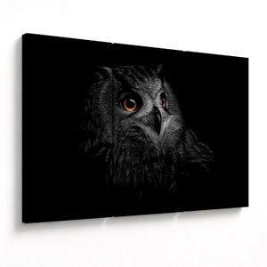 Obraz - Sova, ilustrace (V023618V120803PCS)