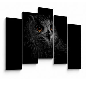 Obraz - Sova, ilustrace (V023618V12590)