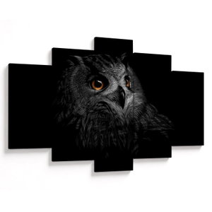 Obraz - Sova, ilustrace (V023618V150105)