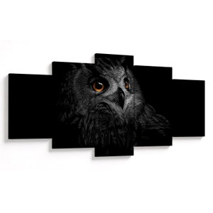 Obraz - Sova, ilustrace (V023618V150805PCS)